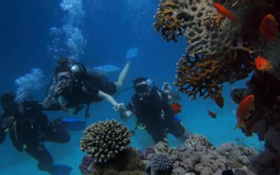 Aventures en mer : Les 5 meilleures destinations de plongée dans les DOM-TOM