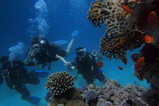Aventures en mer : Les 5 meilleures destinations de plongée dans les DOM-TOM